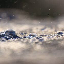 primordial soup by atlantide d ygfr