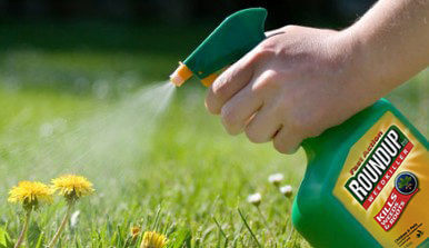 sprayweeds roundup e