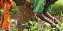 wpid African women farmers e