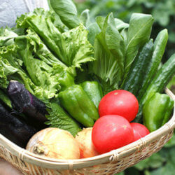Could Epigenetics Help Feed