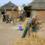 Cowpea drying TREEAID e
