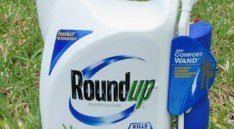 RoundUp Herbicide x e