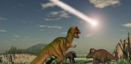 dinosaur