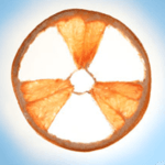 grapefruit