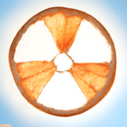 grapefruit