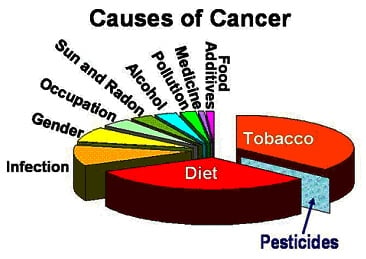 Causes-of-Cancer | Genetic Literacy Project