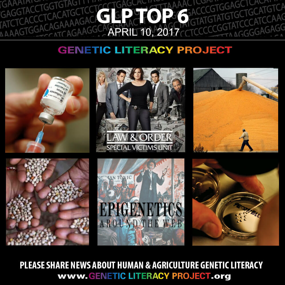 GLP Top Thumbnail April