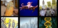 GLP Top Thumbnail April
