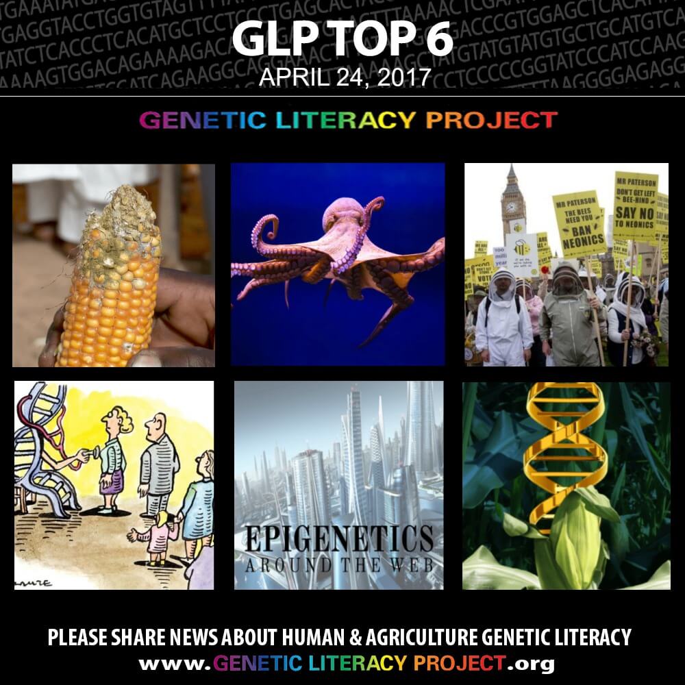GLP Top Thumbnail April