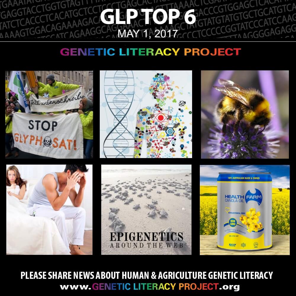 GLP Top Thumbnail May