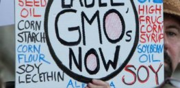 GMO label e