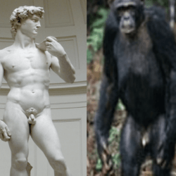 Screen Shot at PM