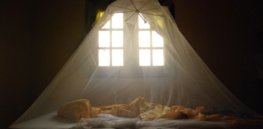 bed net x