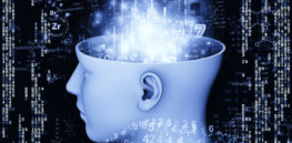 IQ-DNA connection deepens: 40 genes identified that contribute to intelligence