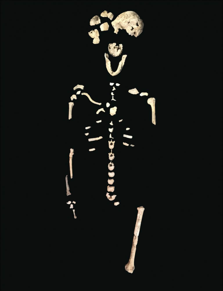 neo skeleton lesedi chamber x