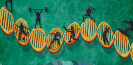 AthleteDNA Illustration MollyFerguson x