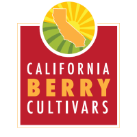 Calif berry cultuvars