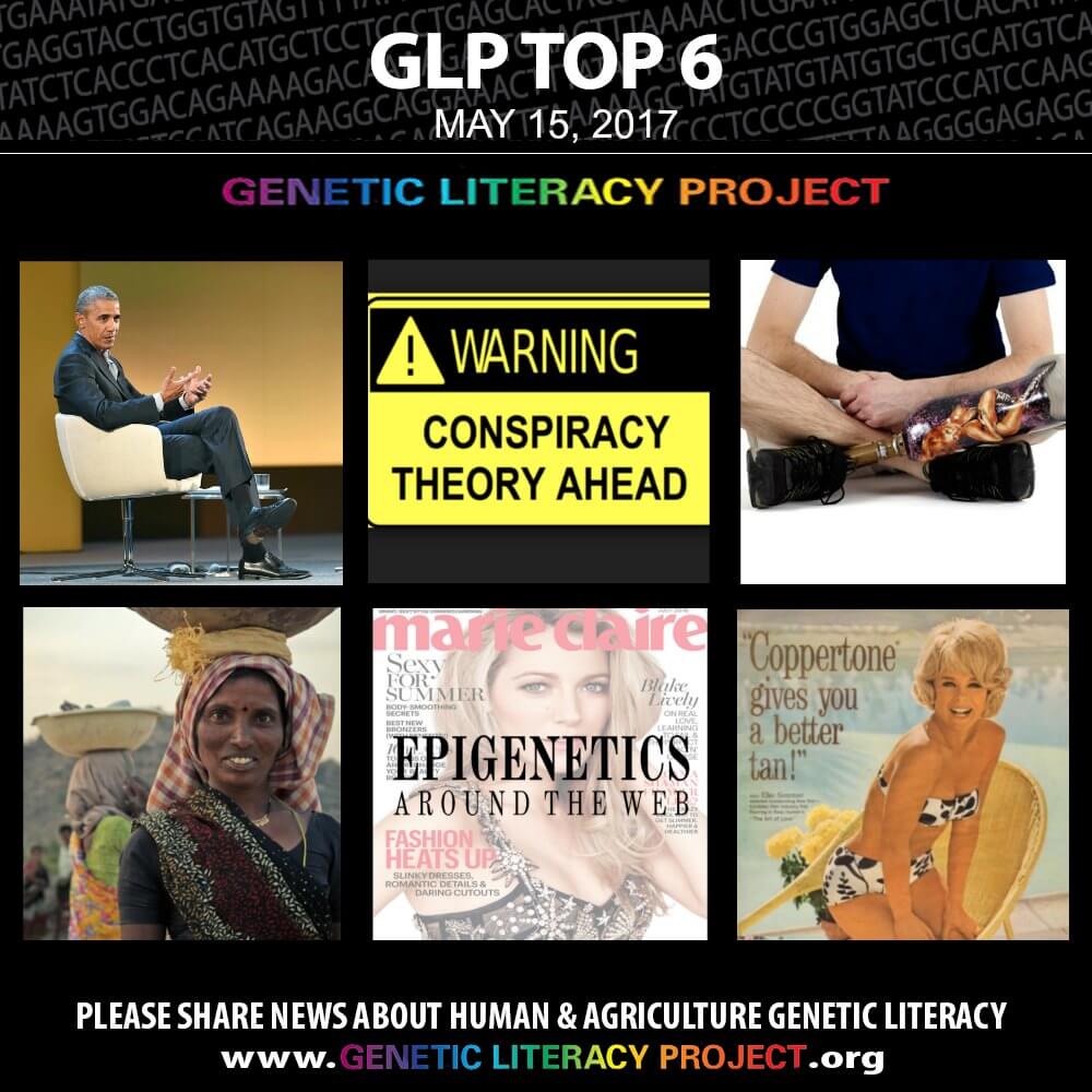 GLP Top Thumbnail May