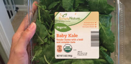 baby kale