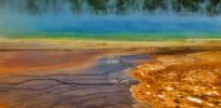 bacterial mats in the grand prismatic spring