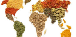 in a world made of food