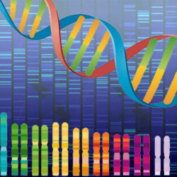 personal genetic test
