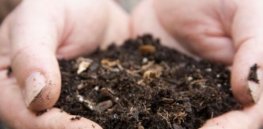 Buried treasure: 'Game-changing' antibiotic found in dirt might protect against resistant killer bacteria