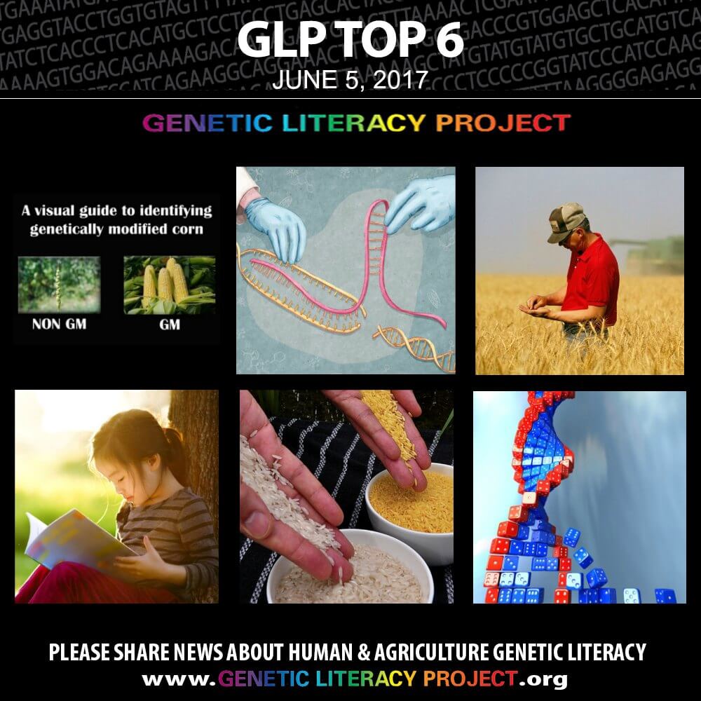 GLP Top Thumbnail June