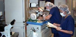 invitrolaboratory