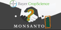 Bayer owns the global food supply? Seed company mergers haven't inflated prices, stifled innovation, study shows