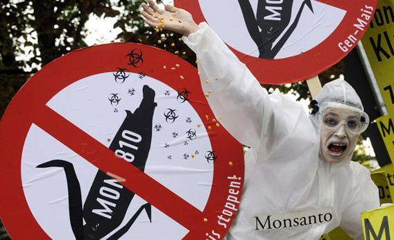 FUT MonsantoProtest CROP rectangle large