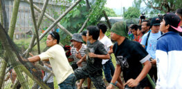 FT GoldenRice BreakIn jpg CROP original original