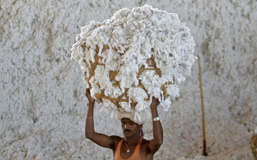 cotton
