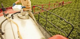 Large long-term farm study finds no statistically significant cancer link to glyphosate herbicide