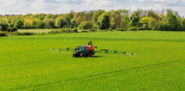 Glyphosate herbicide not an 'endocrine disruptor', European Food Safety Authority concludes