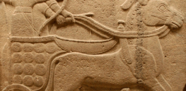 Aryan soldiers