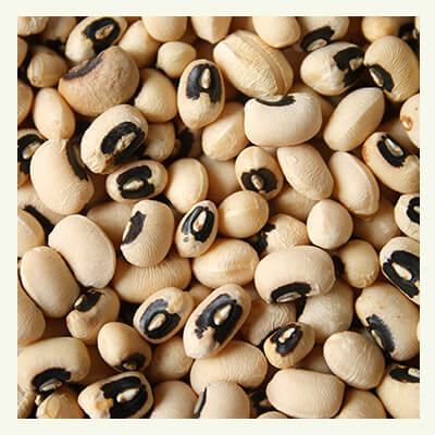 BT COWPEA