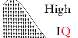 Curse of the High IQ Cover e