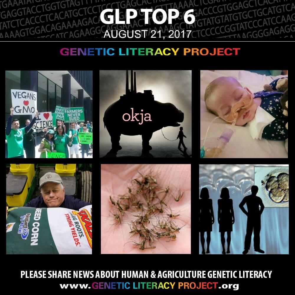 Genetic Literacy Projects Top Stories For The Week August Genetic Literacy Project