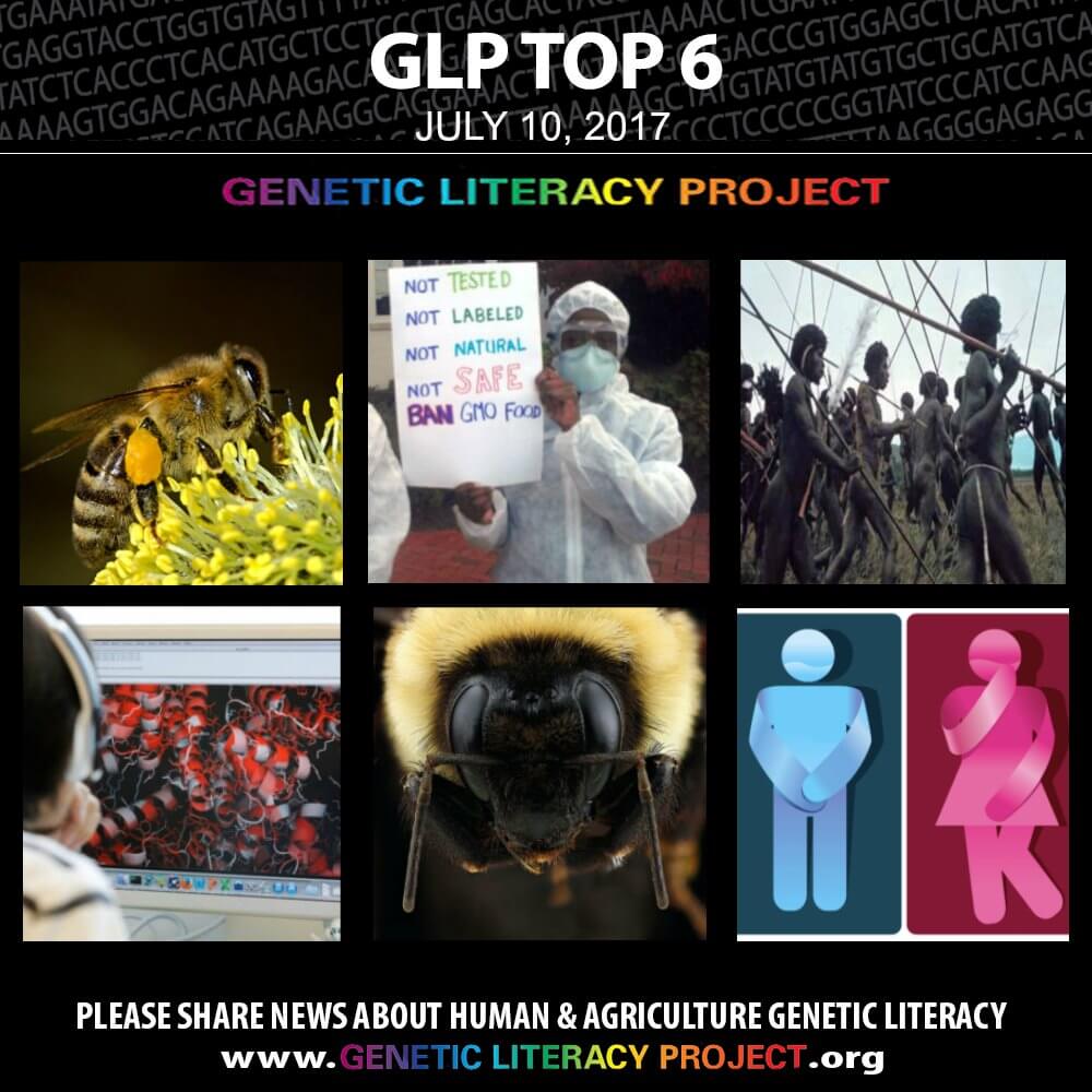 GLP Top Thumbnail July
