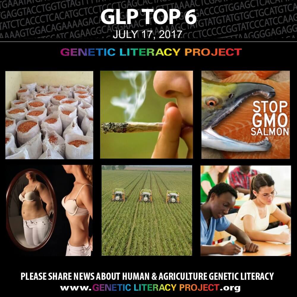 GLP Top Thumbnail July