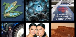 GLP Top Thumbnail Nov
