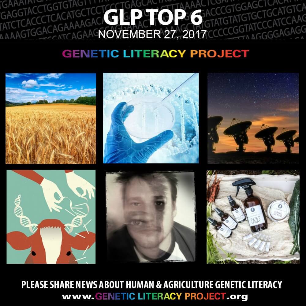 GLP Top Thumbnail Nov