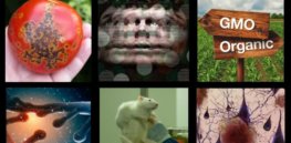 GLP Top Thumbnail Oct