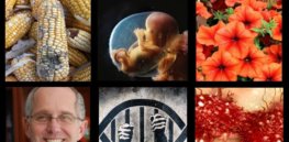 GLP Top Thumbnail Oct