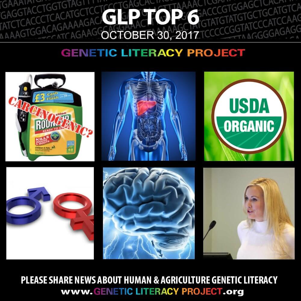 GLP Top Thumbnail Oct