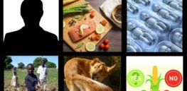 GLP Top thumbnails Sep