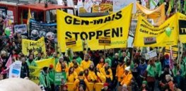 German GMO Protest x