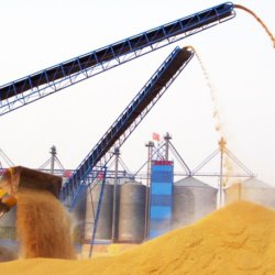Grain Storage Silo
