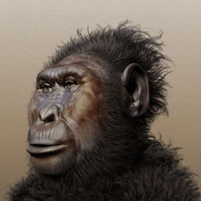 Paranthropus boisei forensic facial reconstruction